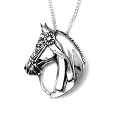 This beautiful Horsehead Necklace in solid Sterling Silver features a Winning Ribbon design and comes on a 20" chain. With measurements of 1 3/8"L x 1 1/8"W, it is the perfect accessory for any equestrian enthusiast. Horse Collection, Paddock Boots, Horseshoe Necklace, Horse Necklace, Ribbon Design, Horse Head, Pave Diamonds, Equestrian, Ribbon