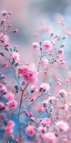 Spring Phone Wallpaper, April Wallpaper Aesthetic, Spring Wallpaper Iphone, Wallpapers Spring, Aesthetic Spring Wallpaper, Spring Iphone Wallpaper, Wallpaper April, April Aesthetic, April Wallpaper