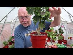 an older man holding up a potted plant