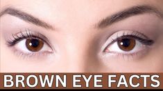 Brown Eyes Facts dark brown eyes facts brown eyes eye color facts about people with brown eyes brown eyes personality facts brown eyes love facts facts about brown eyes personality brown eye scientific facts facts behind brown eyes brown eyed people personality brown eyes fun facts facts about eyes brown eyes cool facts dark brown eyes personality About Brown Eyes, People With Brown Eyes, Scientific Facts, Eye Anatomy