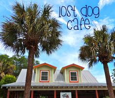 the front of a restaurant with palm trees and blue sky in the background, that says lost dog cafe