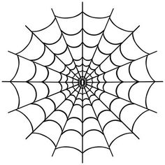 a spider web on a white background