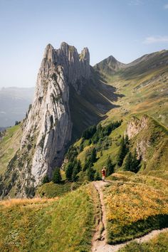 two people hiking up the side of a mountain with grass and trees on both sides