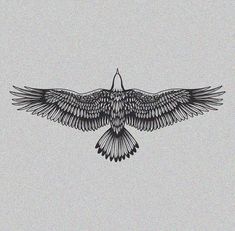 a black and white drawing of a bird flying in the sky with its wings spread