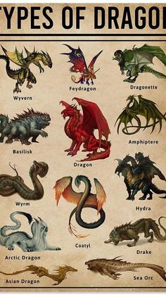 a poster with different types of dragon on it's sides and the names in each