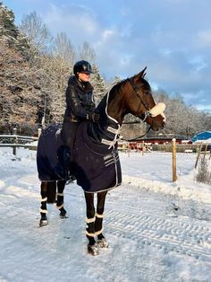 a woman riding on the back of a brown horse in snow covered field next to trees