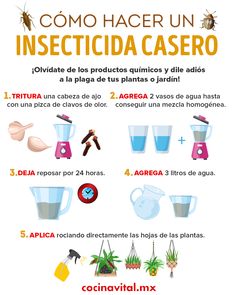 a poster with instructions on how to use insecticides in the house and garden