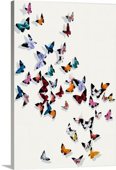 a group of colorful butterflies flying in the air