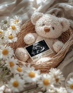 a teddy bear is sitting in a basket with daisies and a baby announcement card