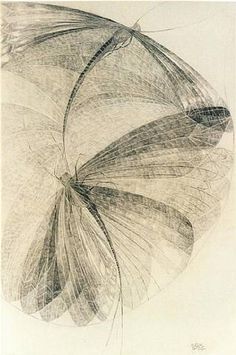 an artistic drawing of a butterfly's wing in black and white ink on paper