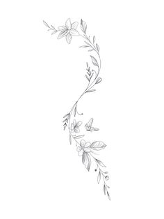 a line drawing of flowers on a white background