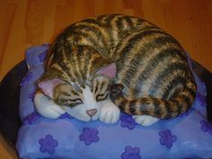 a cat curled up sleeping on top of a purple and blue cake with flower decorations