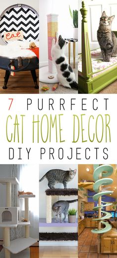 the 7 purrfect cat home decor diy projects