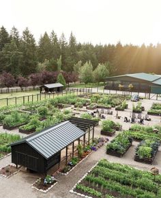 an aerial view of a garden with lots of plants