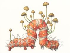 a drawing of two caterpillars with mushrooms in the back and one on the front