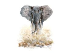 an elephant with tusks standing in the sand