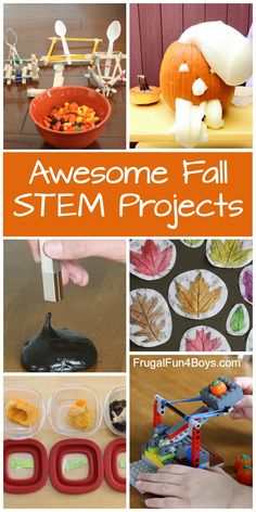 Projects For Elementary Students, Fall Stem Activities, Thanksgiving Stem, Stem Camp, Elementary Stem Activities, Stem Projects For Kids