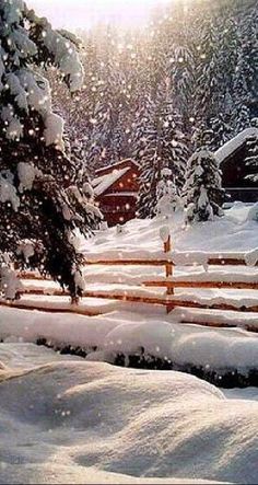 a snow covered field with a fence and trees in the foreground, surrounded by evergreens