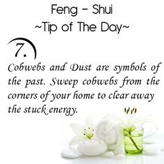 an image of some flowers on a white background with the words feng - shu tip of the day