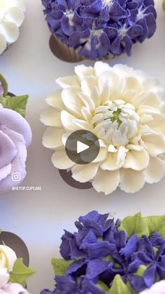 cupcakes decorated with purple and white flowers