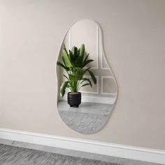 a potted plant sitting on top of a table in front of a large mirror