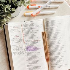 an open book with writing on it next to two pens and a potted plant