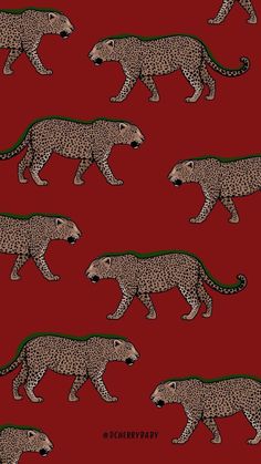 an image of leopards on red background