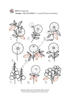 the instructions for how to draw flowers and leaves in chinese, with pictures on each side