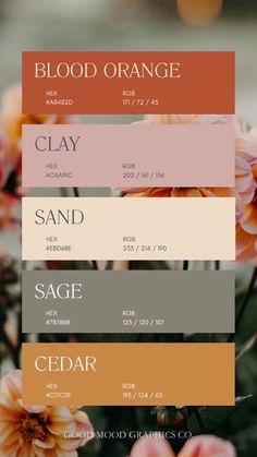 the color scheme for blood orange, clay and sand is shown in three different shades