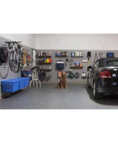 two cars parked in a garage with bikes on the wall and one dog sitting next to it