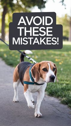 a brown and white dog walking down a sidewalk with a sign above it that says avoid these