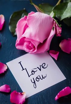 a pink rose sitting on top of a table next to a card with the words i love you