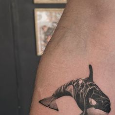 a man's arm with a black and white orca whale tattoo on it