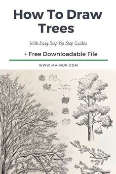 trees drawing with free printable files