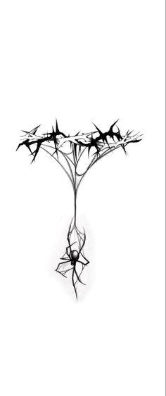 a black and white photo of a tree branch with many branches growing out of it