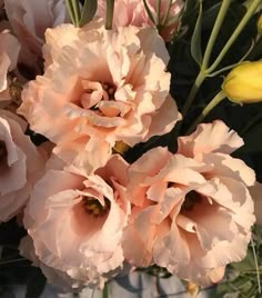 some pink flowers are in a white vase