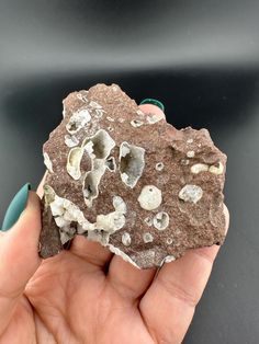 a hand holding a rock with some rocks on it