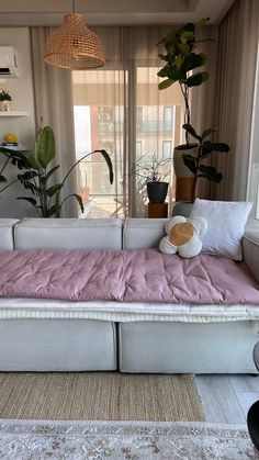 a living room filled with furniture and lots of plants on the window sills