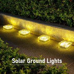 solar ground lights are lit up in the garden