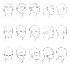 the different types of head and neck shapes