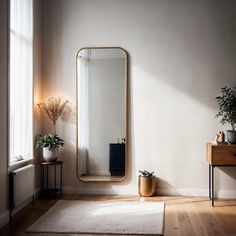 a room with a mirror, plant and rug on the floor in front of it