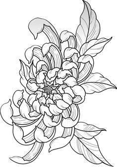 a black and white drawing of flowers with leaves on the bottom, in an outline style