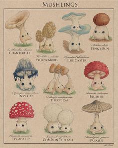 an old book with many different types of mushrooms