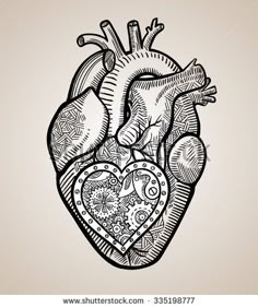 the human heart with an ornament in it hand drawn doodle style on a beige background