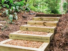 wooden steps made out of wood chips in the middle of some trees and grass with bushes behind them