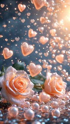 some white roses and water droplets on a blue surface with the sun in the background