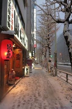 a snowy street lined with tall buildings and trees covered in snow next to the road