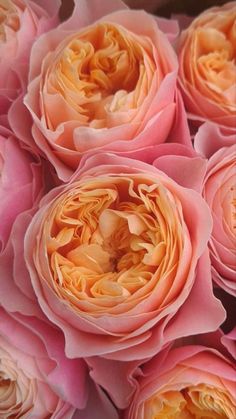 pink and yellow flowers are arranged together in this close - up photo by the photographer