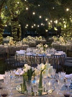 tables set up for an event with white flowers and lights strung from the trees in the background