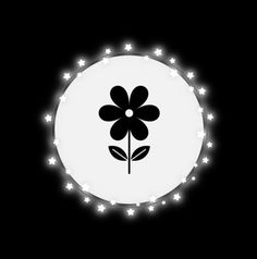 Black & White IG icons with star around circle decor : Flowers ! Flowers Instagram Story, Instagram Story Highlight Icons, Story Highlight Icons, Flowers Instagram